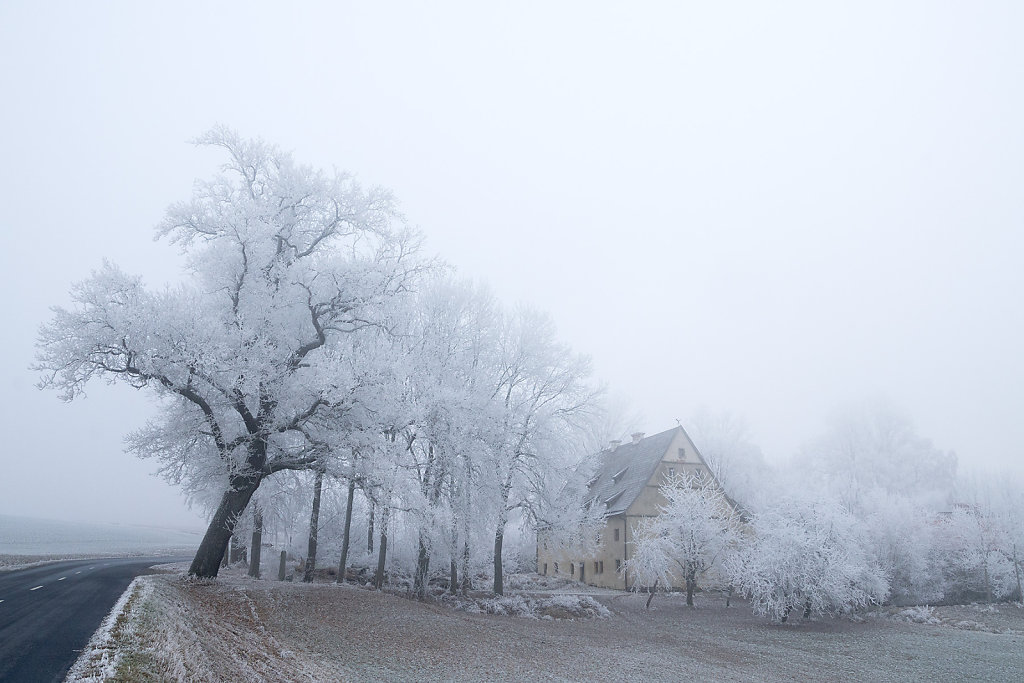 Nebel und Frost