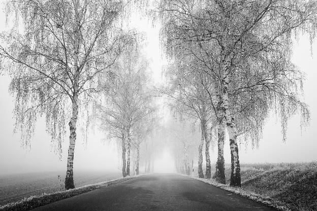 Allee bei Lengenfeld