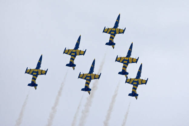 L-39 Albatros - Baltic Bees