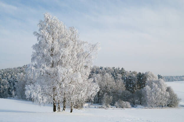 Winterlandschaft