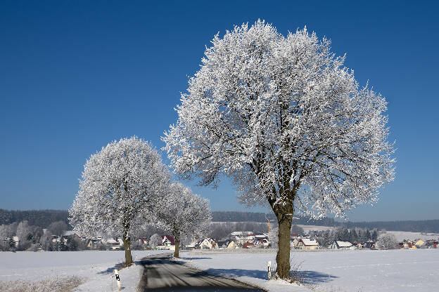 Blick auf Leutendorf