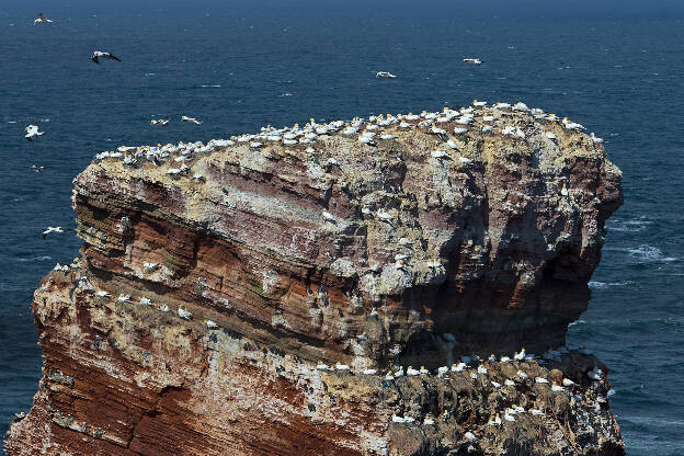 Lange Anna, Helgoland