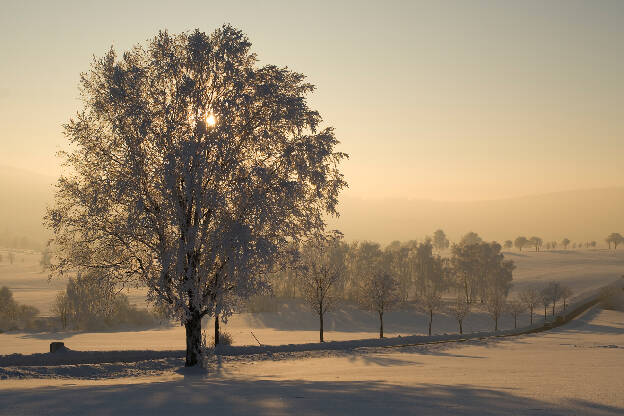 Winterlandschaft bei Leupoldsdorf