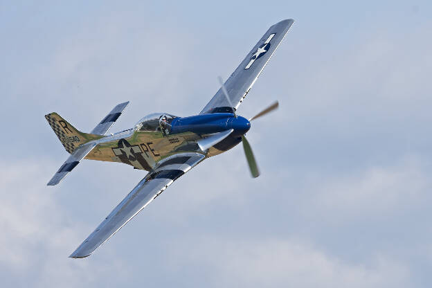 Mustang P-51D Excalibur