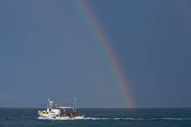 Regenbogen Fischer