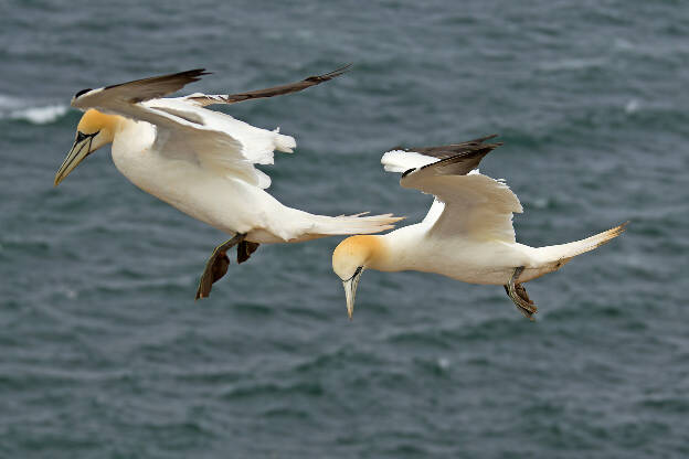 Flugverkehr