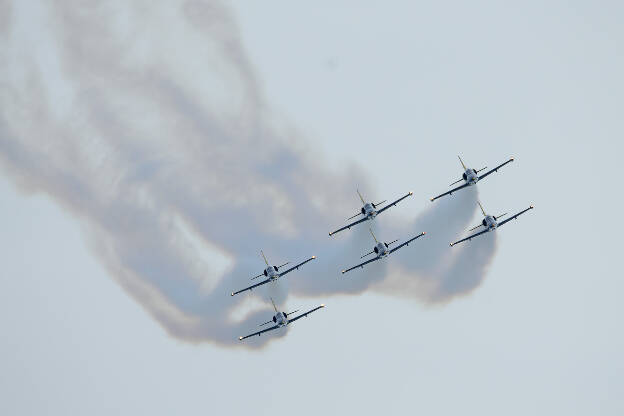 L-39 Albatros - Baltic Bees