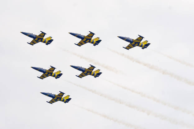 L-39 Albatros - Baltic Bees