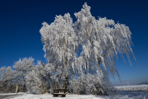 Eiskalter Wintertag