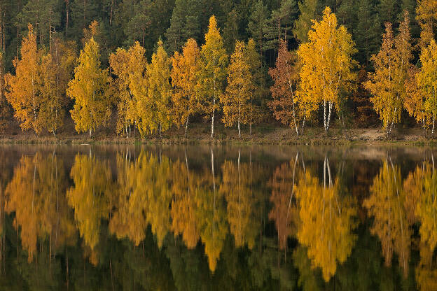 Stausee Arzberg