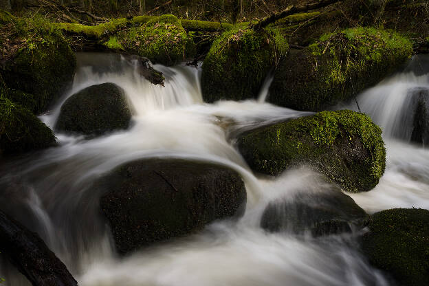 Wildes Wasser