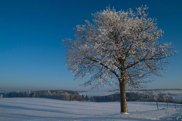 Eiskalter Wintertag