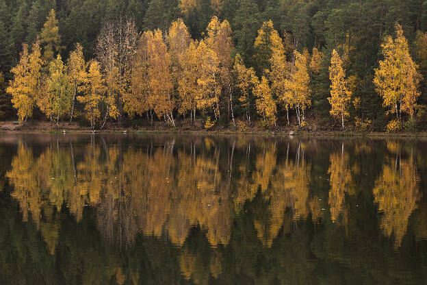 Stausee Arzberg